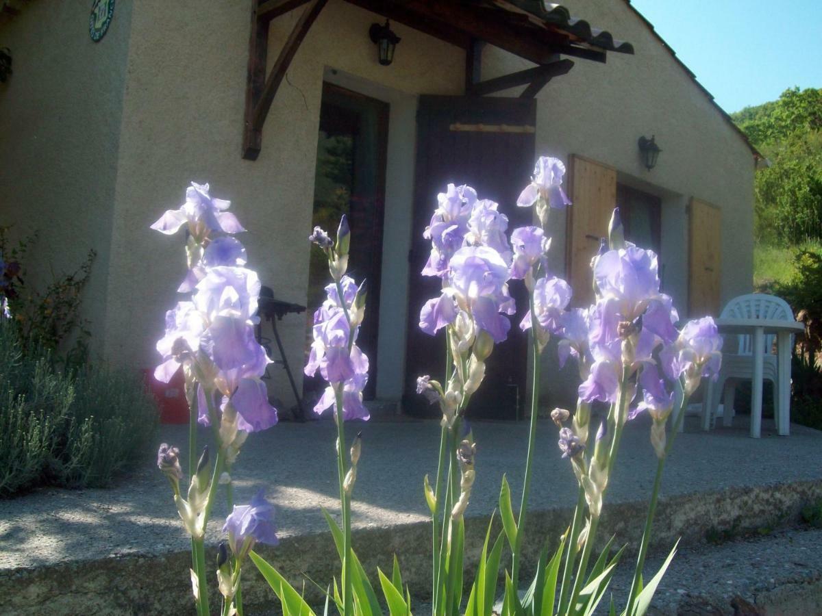 Gite Les Iris La Robine-Sur-Galabre ภายนอก รูปภาพ